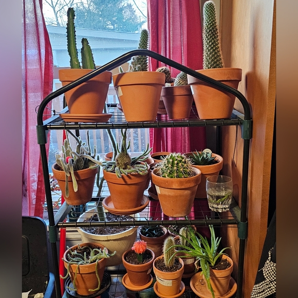 💥10/30 @ 8:40 AM EST Come Hang With Us!! Like This Flyer!!🎈 - Picture 7 of 11